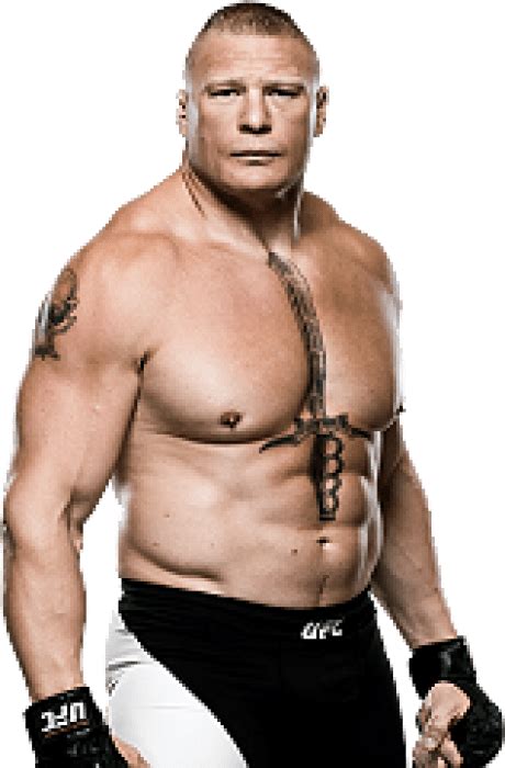 Brock Lesnar MMA Fight History